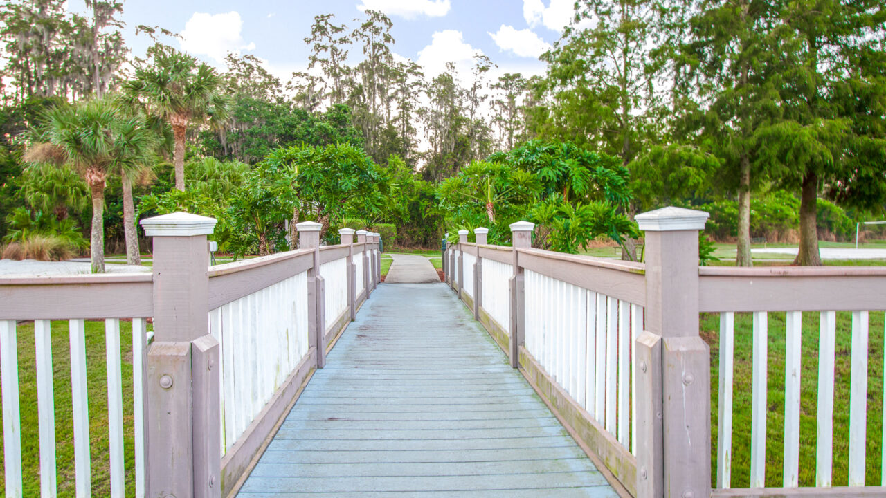 Nature trail in Orlando Fl